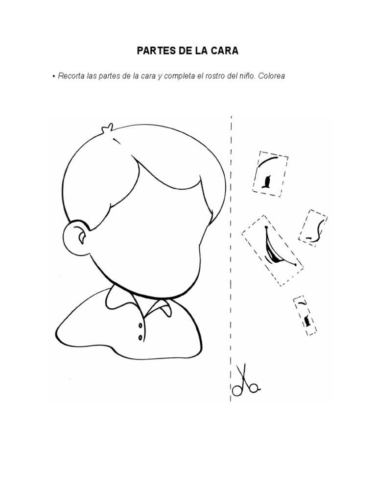 ¡Descubre las Partes de la Cara Infantil: Un Viaje Divertido al Mundo de la Anatomía!