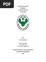 Download LAPORAN KEGIATAN POSBINDU by Yogi Agil Murdjito SN272325380 doc pdf