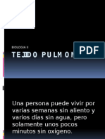 Tejido Pulmonar