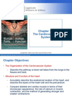 Chapter 11: THE Cardiovascular System