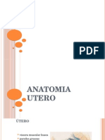 Anatomia e Histologia Del Utero