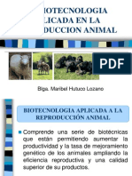 La Biotecnologia Aplicada a La Reproduccion Animal[1]