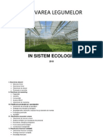 Plan-de-Afaceri-Cultivarea-Legumelor-in-Sistem-Ecologic.pdf