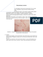 Laporan Morphologic Lesion (Raised)