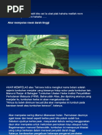 Download Herba Power Point by f6smkpn8668 SN27237046 doc pdf