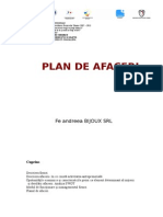 Plan de Afaceri