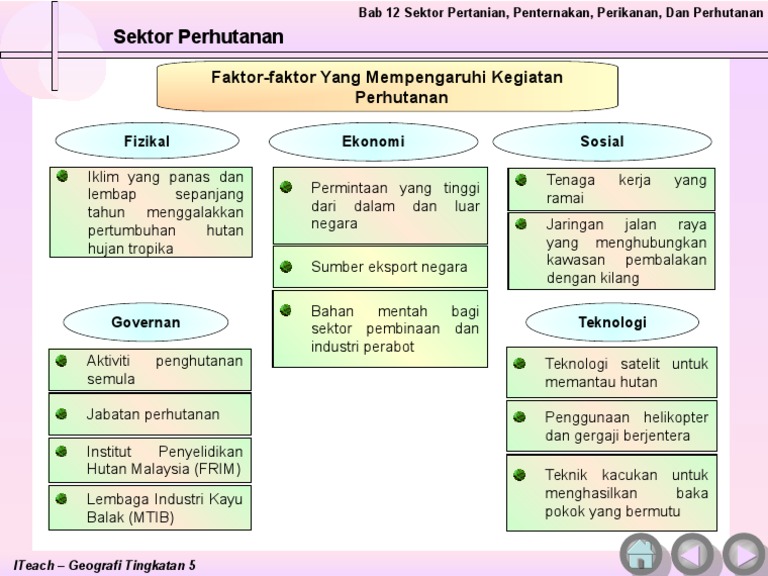 Faktor Yang Mempengaruhi Kegiatan Perhutanan