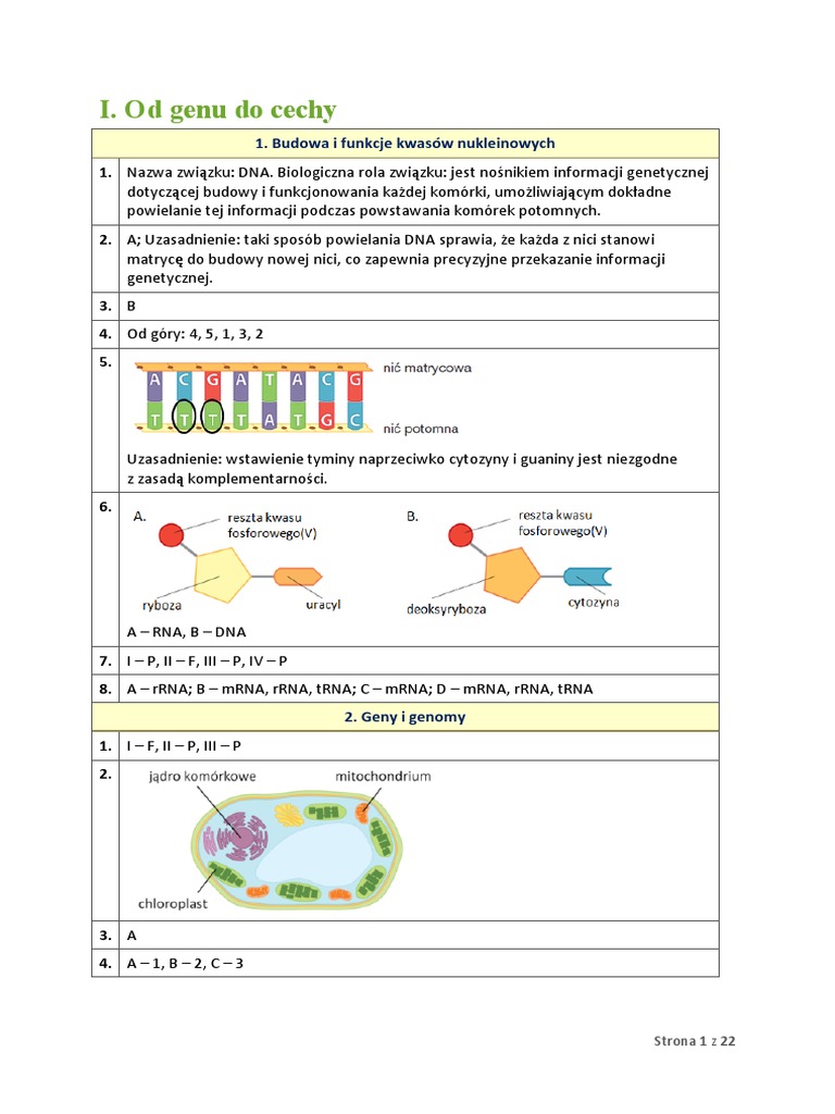 Nowa Era Maturalne Karty Pracy Biologia Odpowiedzi Karty Pracy - klucz odpowiedzi