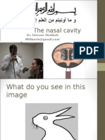 The Nasal Cavity: Dr. Hassan Shaibah
