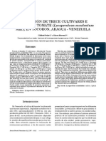 Peña y Moreno 1997 PDF