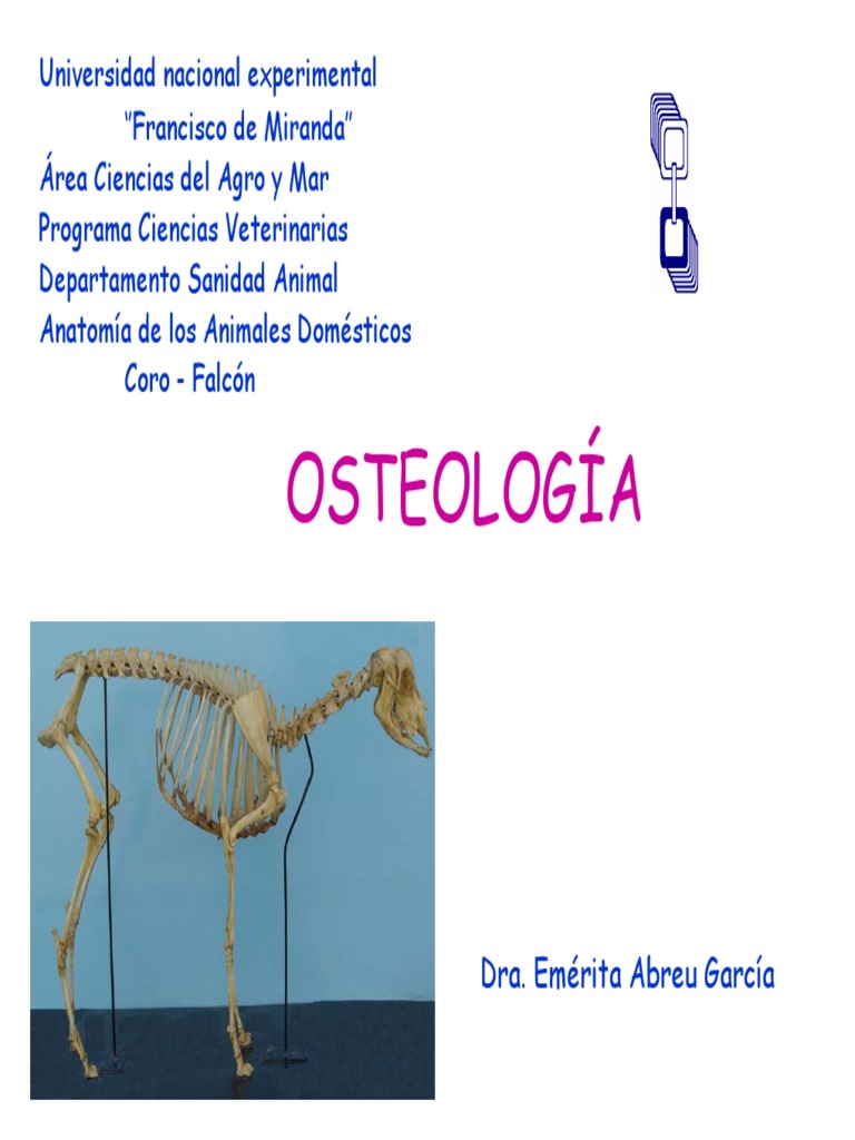 Osteologia Animal | PDF | Hueso | Esqueleto