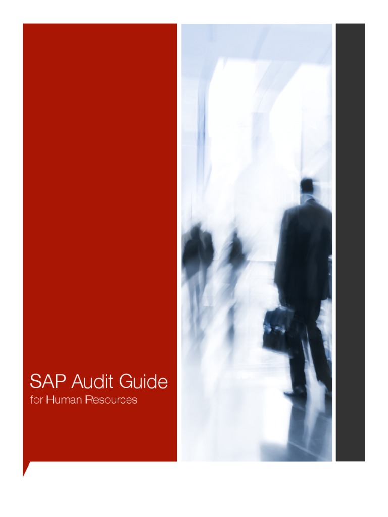 SAP Audit Guide Human Resources | PDF | Payroll | Human Resource Management