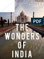 The Wonders of India