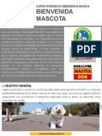 curso-bienvenida-mascota-2015 (1)