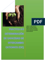 Practica de Capacidad de Intercambio Cationico PDF