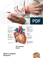 Angina Pectoris 