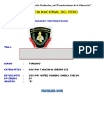 Monografia - La Jurisdicción Constitucional (Derecho Constitucional)