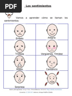 Los Sentimientos