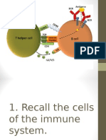 Maturation, Activation and Differentiation of B Cells