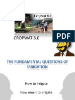 0601 CropWat Printable Version