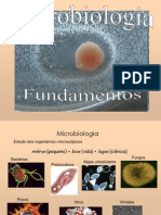 MICROBIOLOGIA Fundamentos