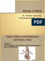 Wilms Tumor