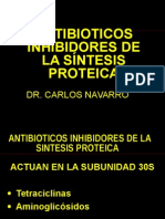 Tetraciclinas y aminoglicósidos: mecanismos de acción y resistencia