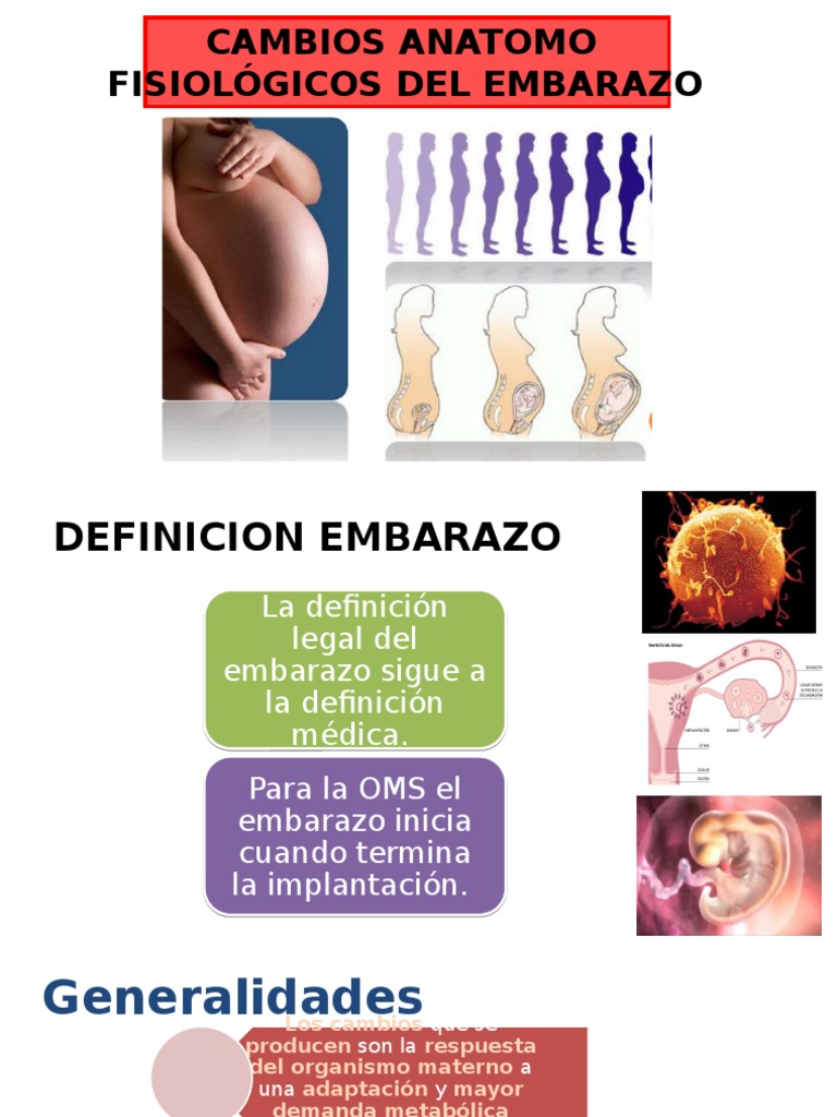 Cambios Fisiológicos En El Embarazo