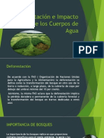 Deforestación Asociada A Cuerpos de Agua