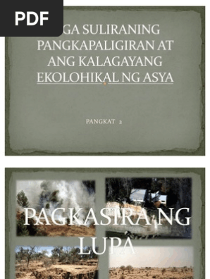 62817027 Mga Suliraning Pangkapaligiran At Ang Kalagayang Ekolohikal Ng Pdf