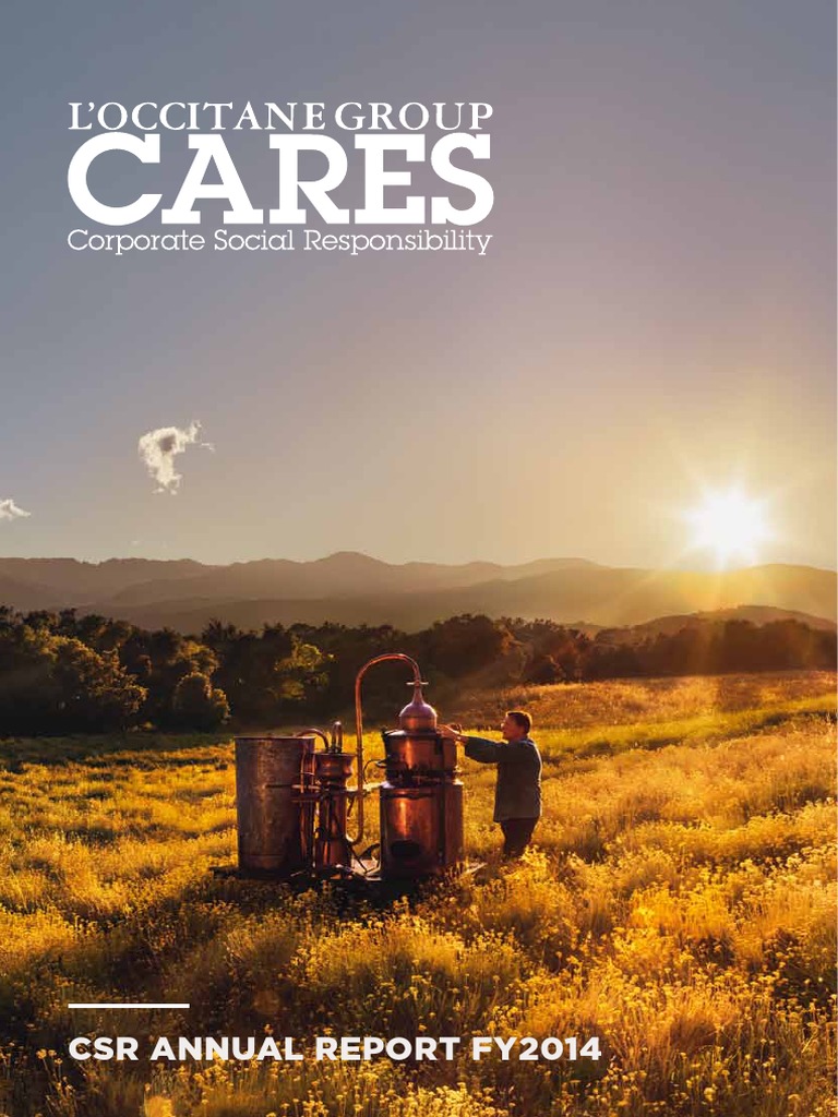 Contoh CSR Report | PDF | Corporate Social Responsibility | Sustainability