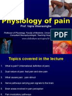 Pain Physiology