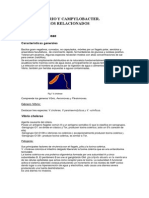 21. Vibrio.pdf