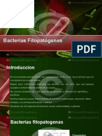 Clase III Bacterias Fitopatógenas