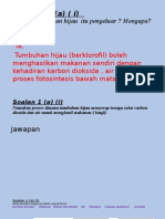 Soalan 1. (A) (I) : Adakah Tumbuhan Hijau Itu Pengeluar ? Mengapa?