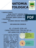 Inflamacion Cronica