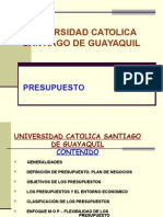 Base Teorica de Presupuesto