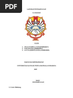 Download Asuhan Keperawatan Paliatif Pada Pasien Dengan CA Mamae by andriyanklaua SN272693433 doc pdf