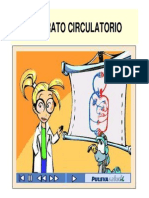 APARATO+CIRCULATORIO_0