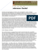 Hunderasse Dackel