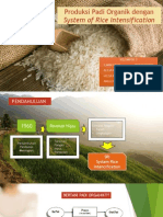 Produksi Padi Organik Dengan System of Rice Intensification