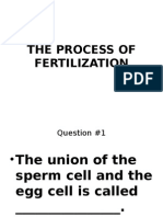 The Process of Fertilization