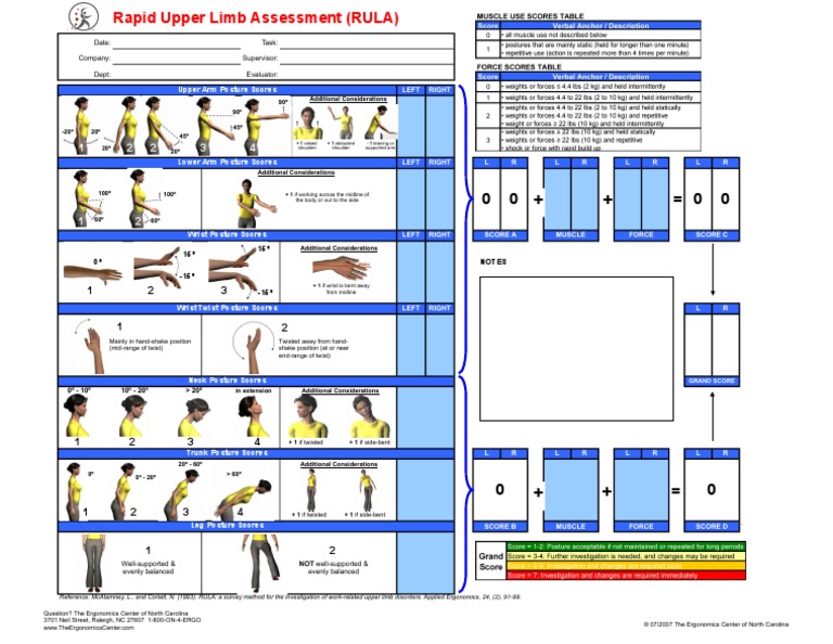RULA Ergonomic Assessment Form | PDF