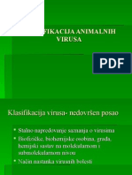 Klasifikacija Animalnih Virusa