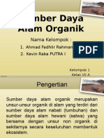 Sumber Daya Alam Organik