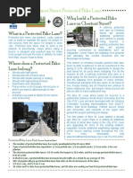 Chestnut Street, St. Louis - Protected Bike Lane Handout