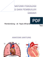 Anfis Cardiovascular