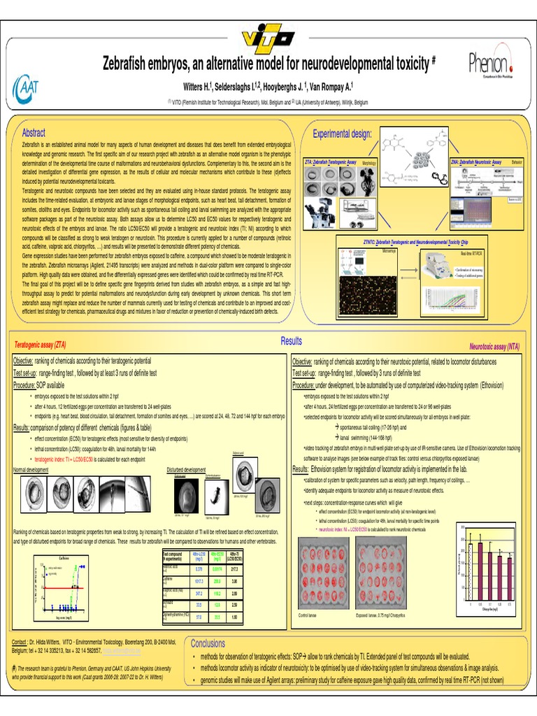 Zebrafish as Neurodevelopmental Toxicity Model | PDF | Model Organism ...