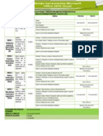 Cronograma de Actividades - Excel