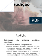 Audição